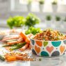 homemade dog meals